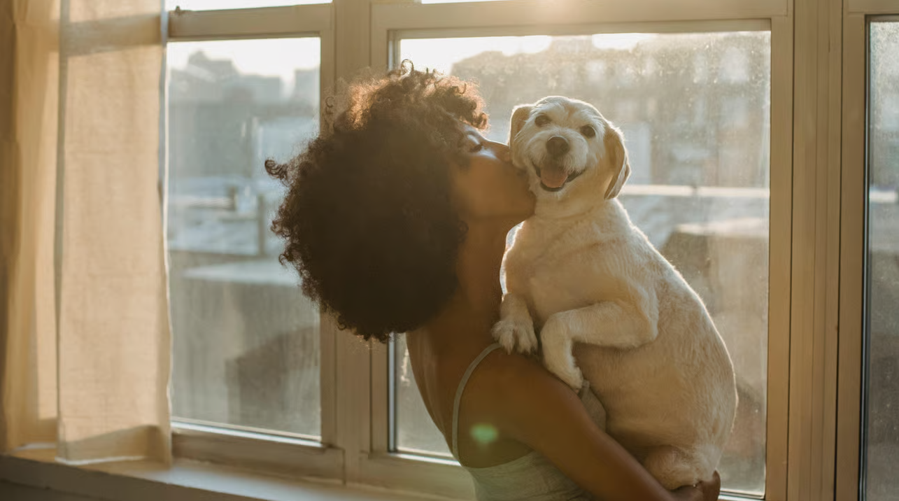 How Wearable Tech Data Can Lower Your Pet Insurance Rates